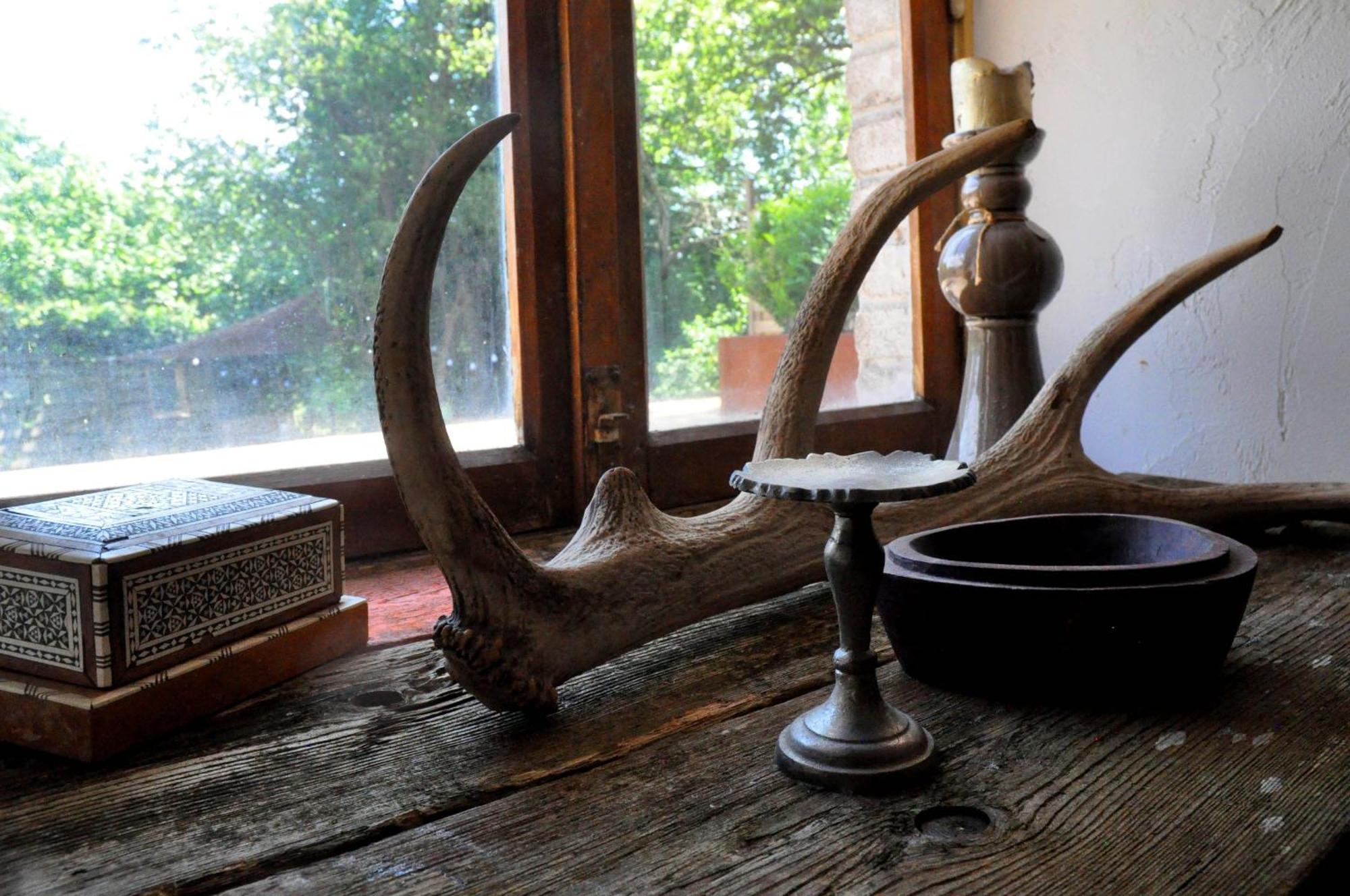B&B Ferme1883 Lierneux Quarto foto
